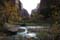 zion nationalpark