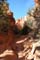 bryce canyon